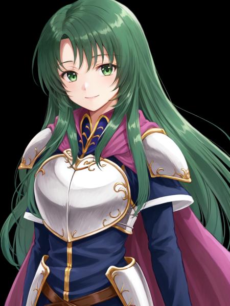 CECILIA EXAMPLE 2.png